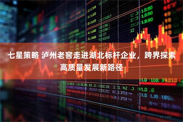 七星策略 泸州老窖走进湖北标杆企业，跨界探索高质量发展新路径